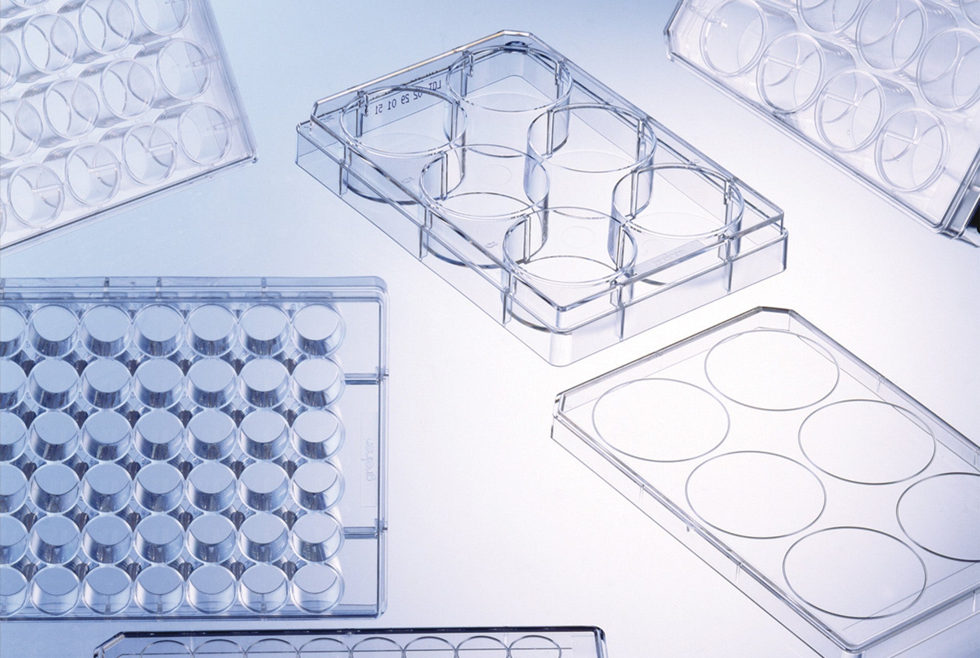 Cell Culture 101: Uses, Techniques, & Best Practices