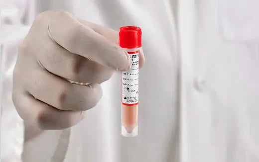 Everything You Need to Know About Universal Transport Mediums