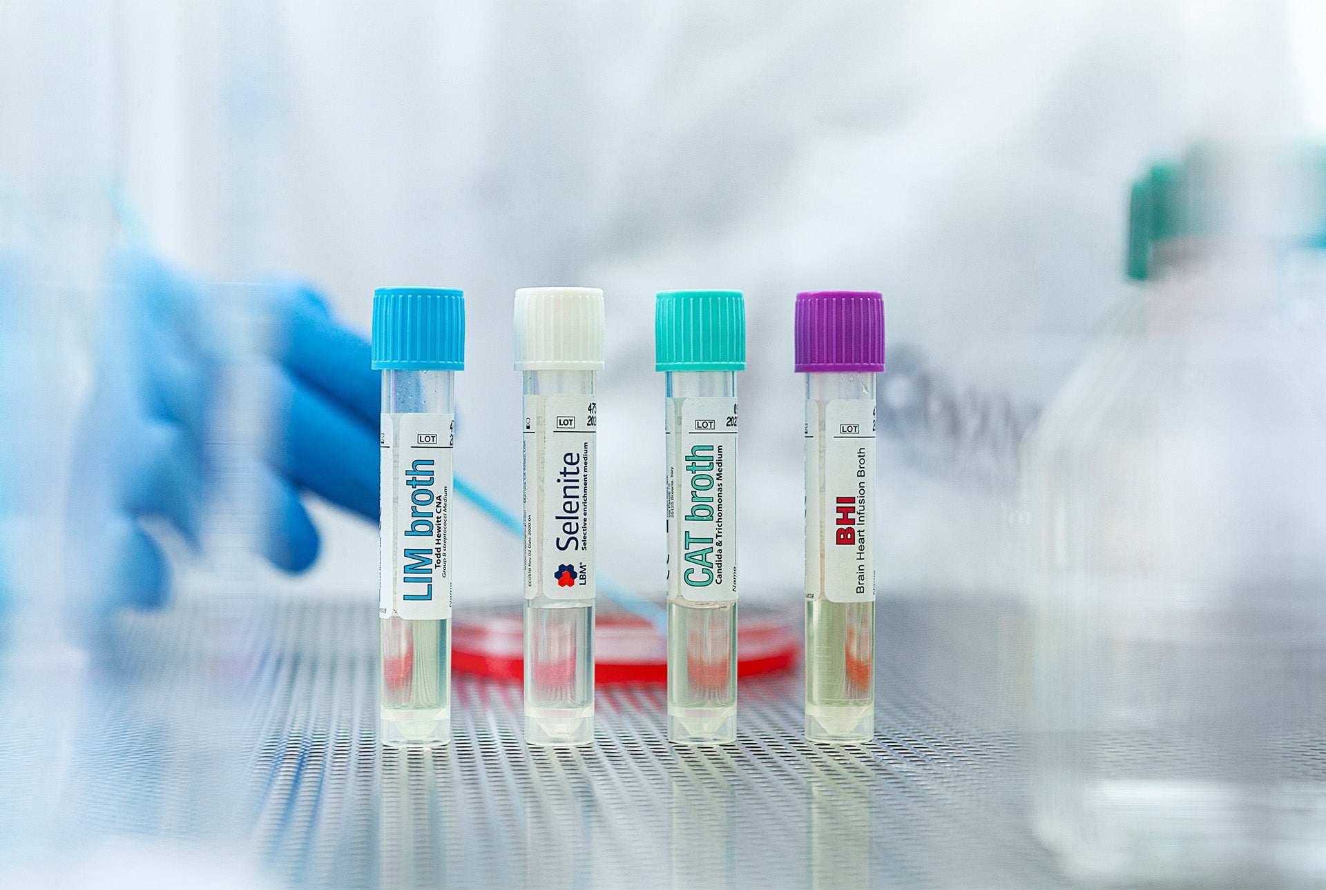 Advancing Microbiology Diagnostics in Australia: Automation, Molecular Testing & Selective Enrichment