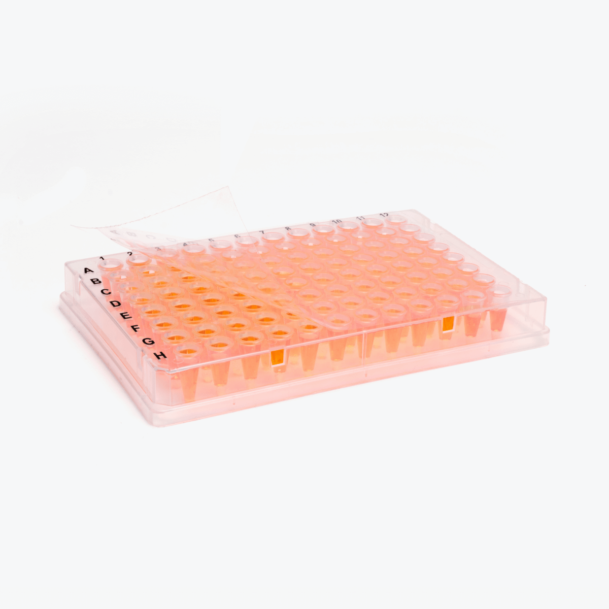 Excel Scientific ThermalSeal RT2 Film - Non-Sterile