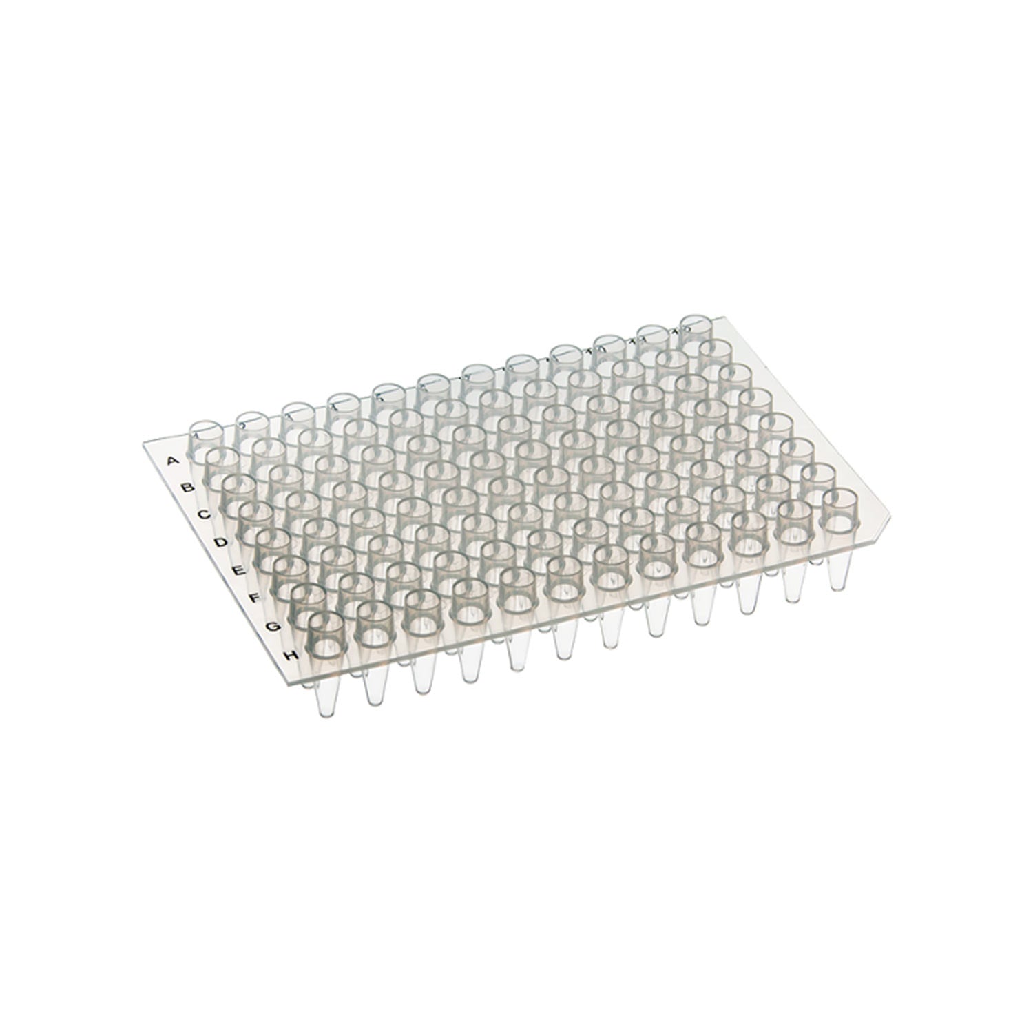 Scientific Specialties Plate Pcr Raised 96 Well