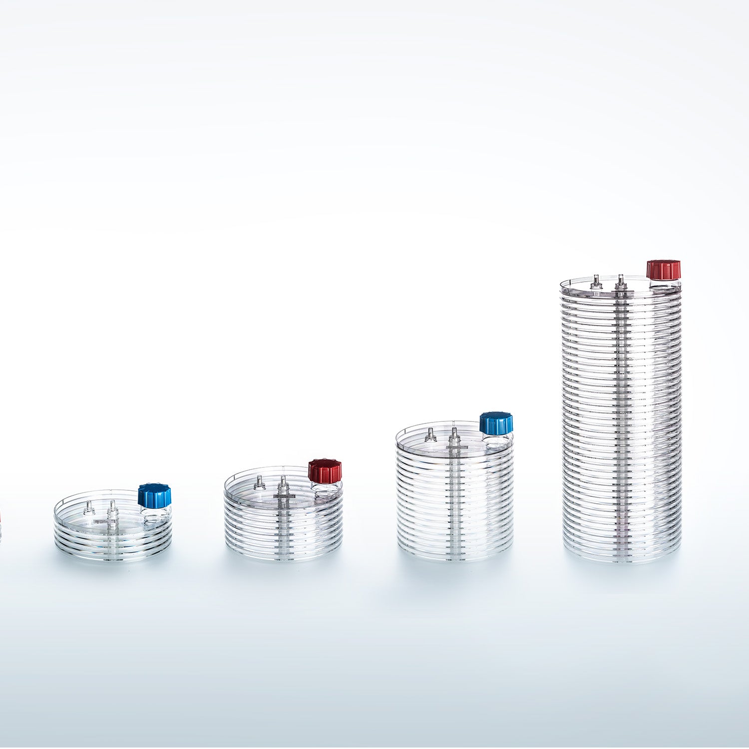 Greiner CELLdisc 4 Layers TC Clear