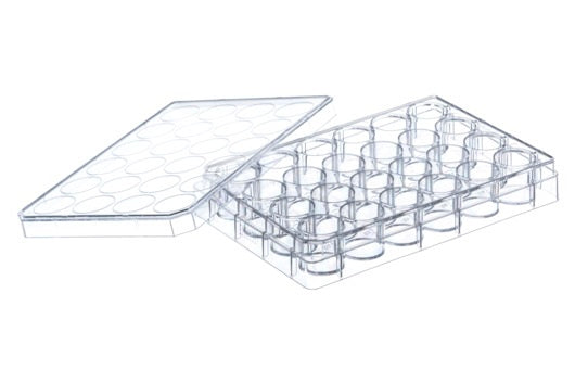 Greiner 24 Well Suspension Culture Plate Sterile