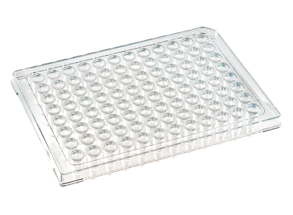 0.1 mL DuraFrame™ Rigid PCR Plate, Clear, White Wells