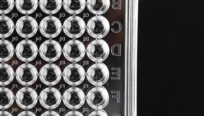 Nest Biotechnology Cell Cult Plate U Bot TC St 96 Well