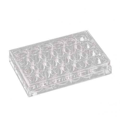 Nest Biotechnology Cell Culture Plate Flat TC Sterile 24 Well