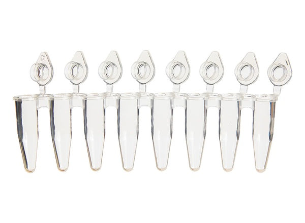 Scientific Specialties Strip 8 Pcr Tube & Cap 0.2ml