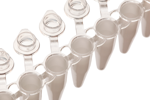 Scientific Specialties Strip 8 Pcr Tube & Cap 0.2ml