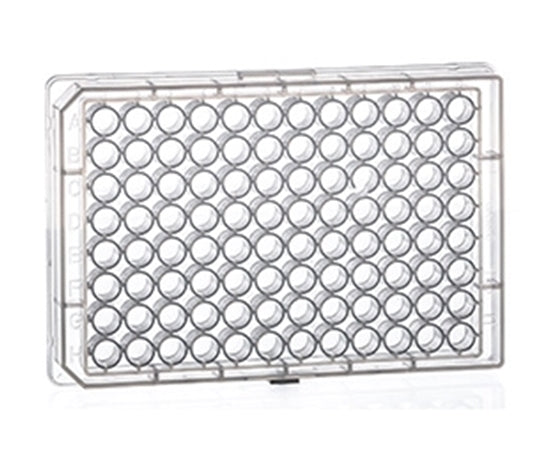 Greiner Microplate 96 Well Polypropylene U Bottom