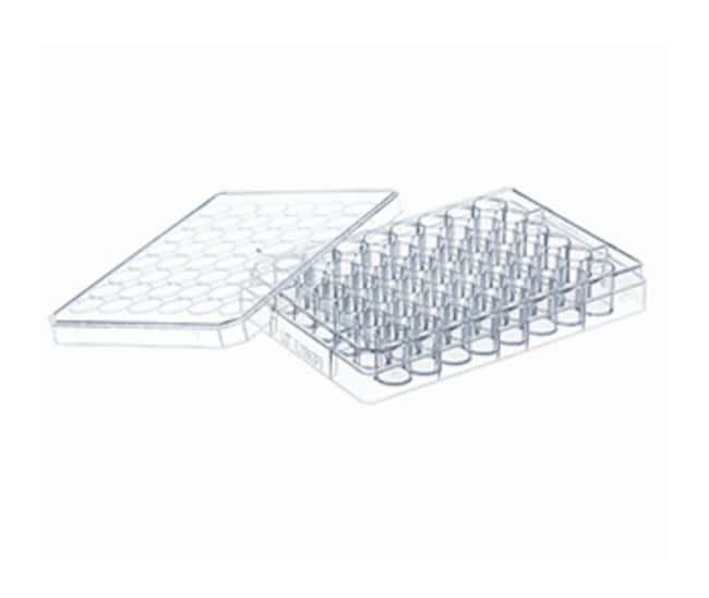 Greiner 48 Well Cell Culture Plate with Lid Sterile