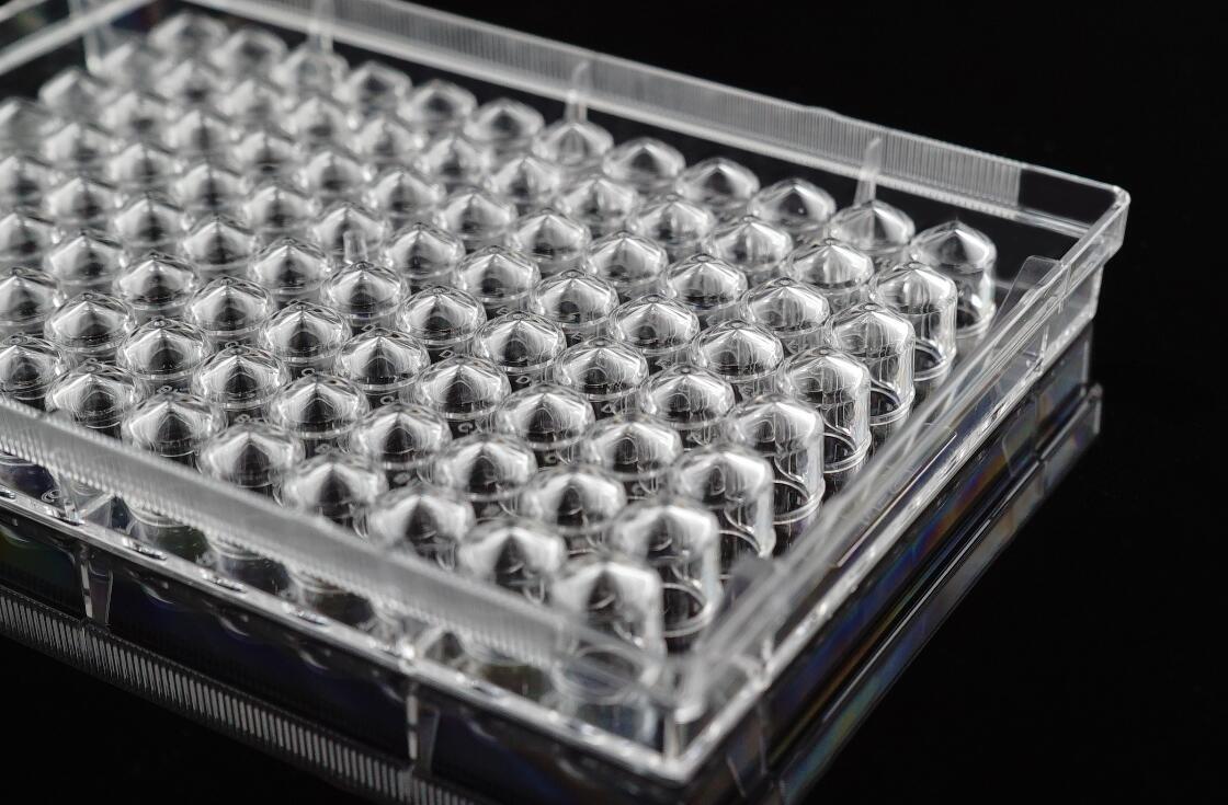 Nest Biotechnology Cell Culture Plate V Bot Tc St 96 Well