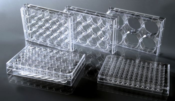 Nest Biotechnology Cell Culture Plate V Bot Tc St 96 Well