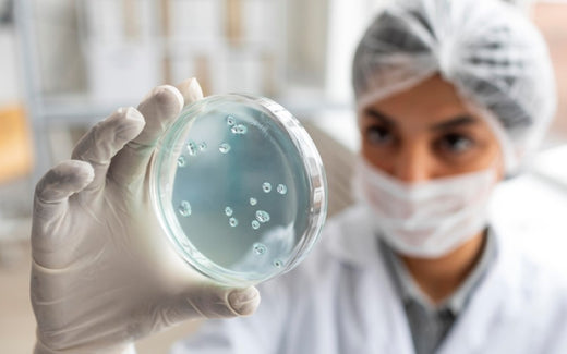 A Reliable Source for High-Quality Petri Dishes