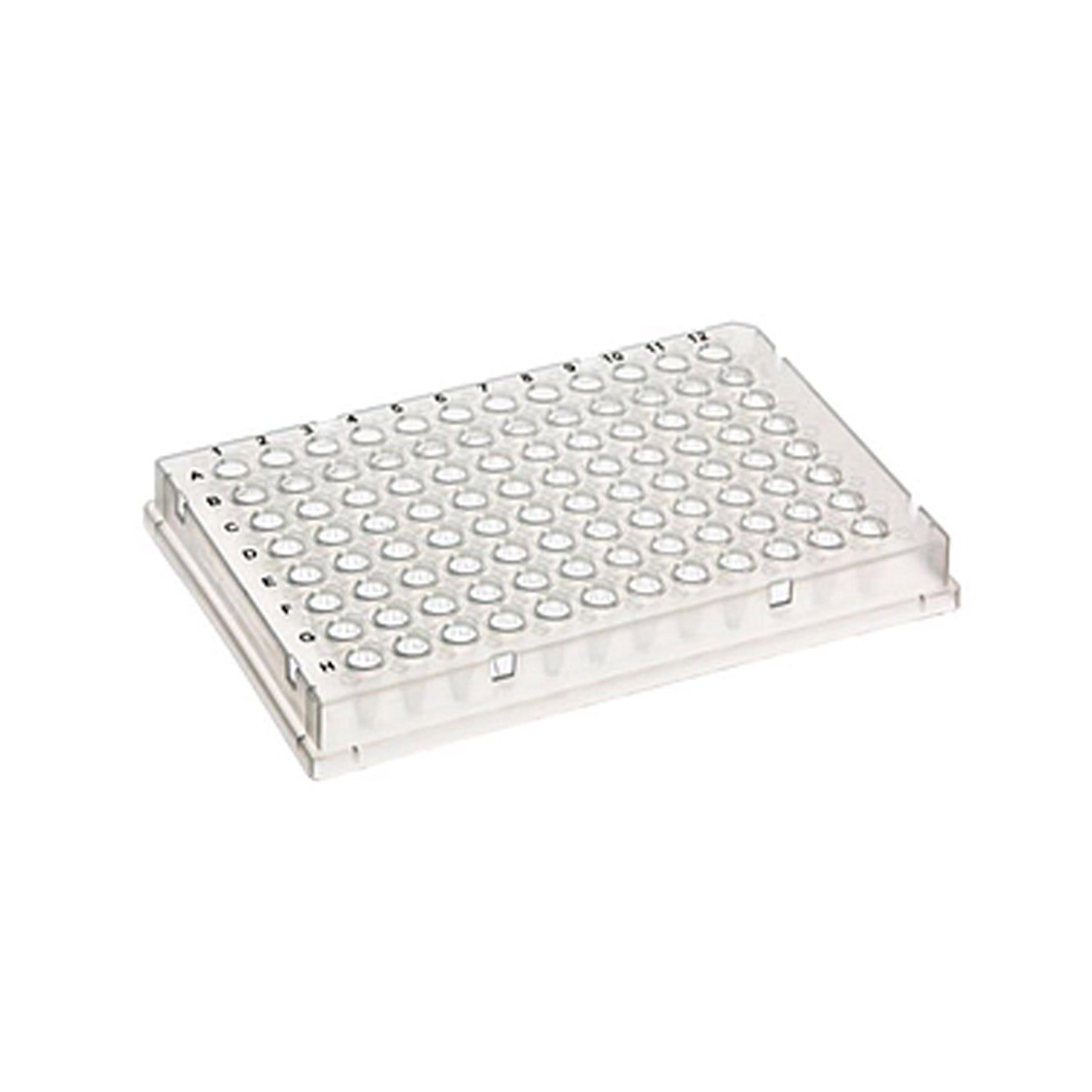 Scientific Specialties Pcr Plate Megabase 96 Well