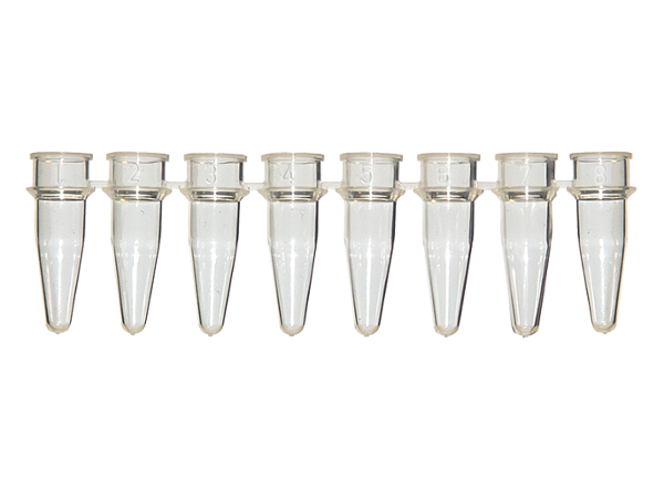 SCIENTIFIC SPECIALTIES STRIP CAP 8 TUBE NAT 0.2ML