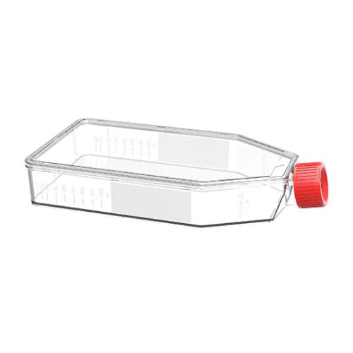 Greiner Cellstar Cell Culture Flask 550ml 175 cm² with Filter Cap