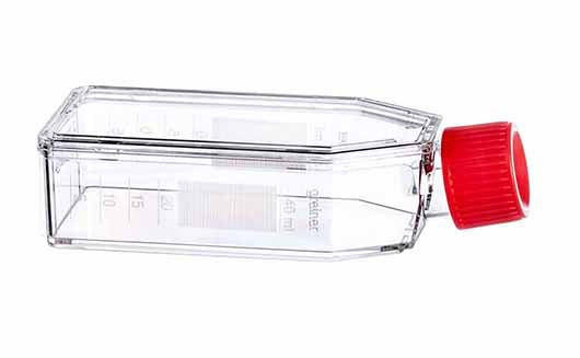 Greiner Cell Culture Flask 25cm2 50ml with Solid Cap