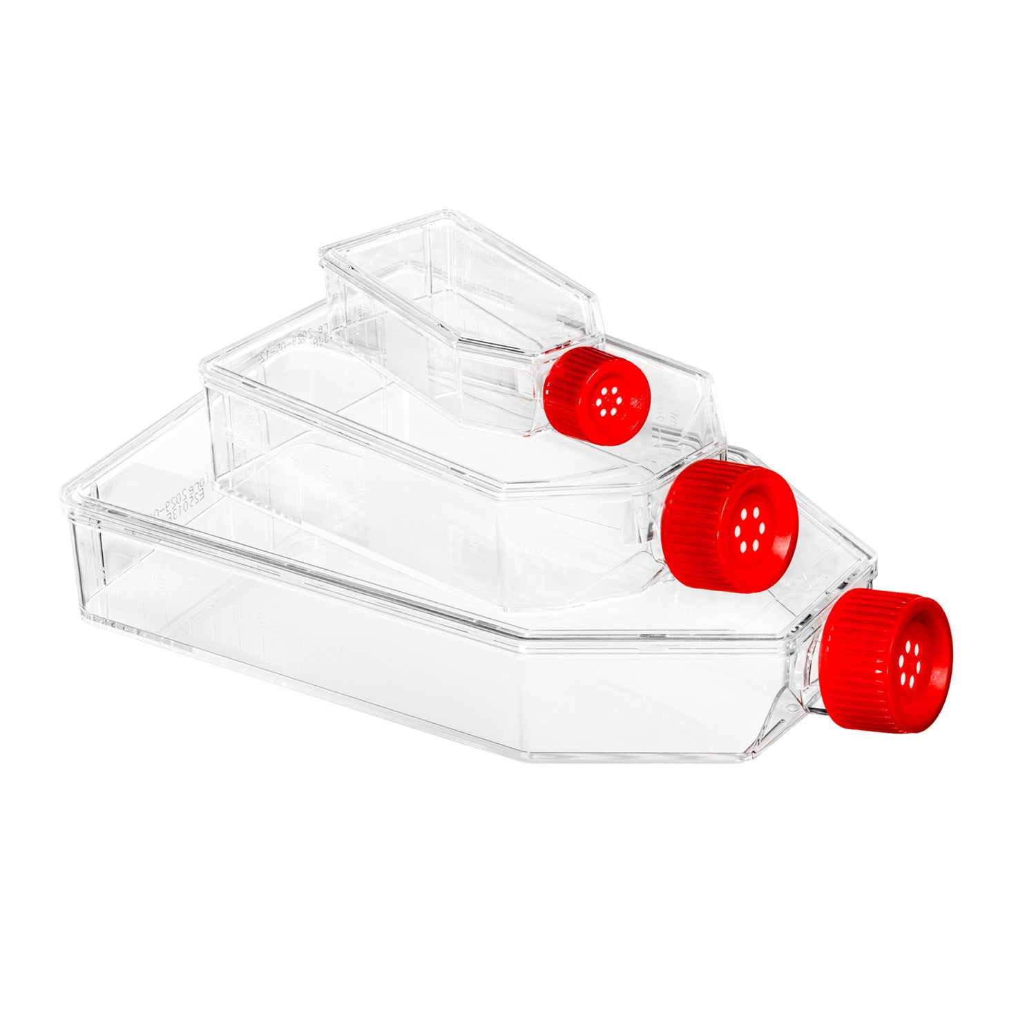 Greiner Cellstar Cell Culture Flask 50ml 25 cm² with Filter Cap