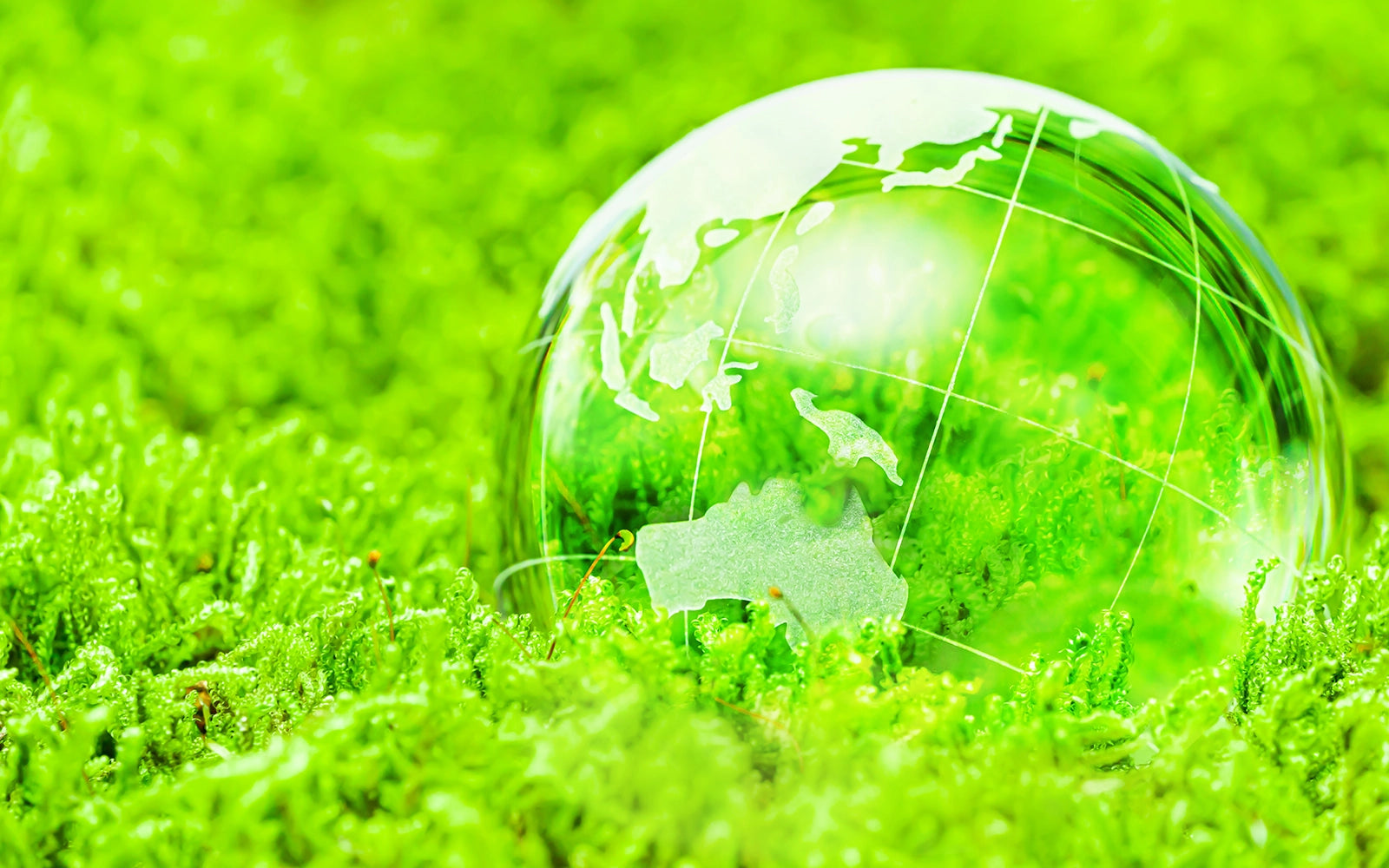 About Us - Interpath Services Pty Ltd