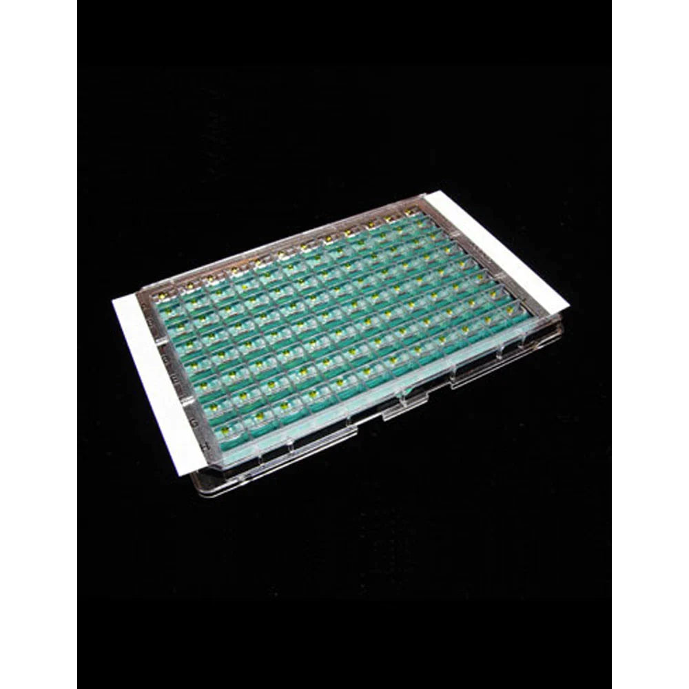 Excel Scientific ThermalSeal RTS Film - Non-Sterile