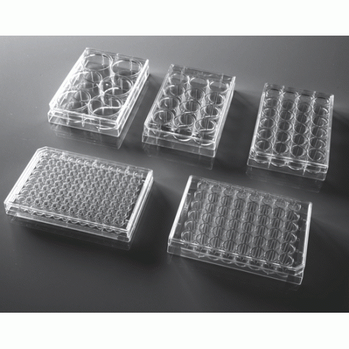 Nest Biotechnology Cell Culture Plate Flat Tc St 12 Well