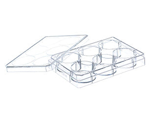 Greiner 6 Well Cell Culture Plate with Lid
