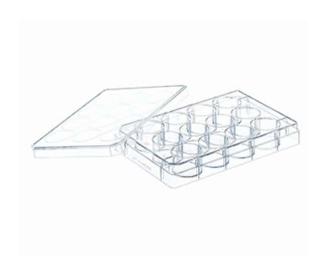 Greiner 12 Well Cell Culture Plate with Lid Sterile
